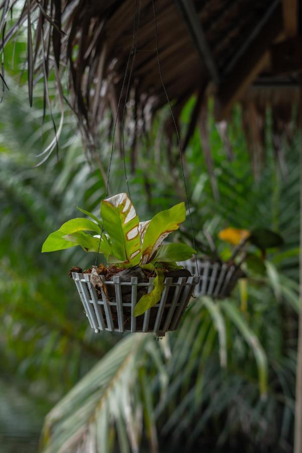 Nary Garden Hotel Kampot Bagian luar foto